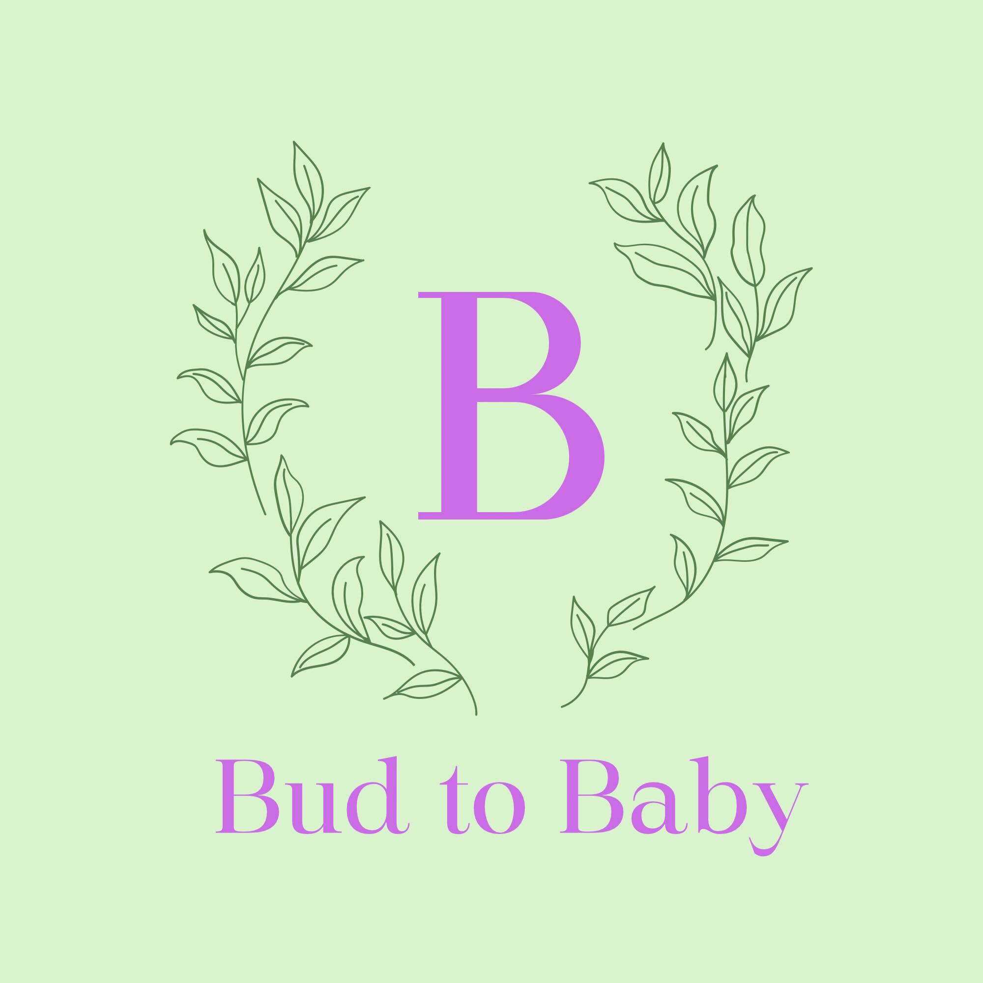 Bud to Baby Logo